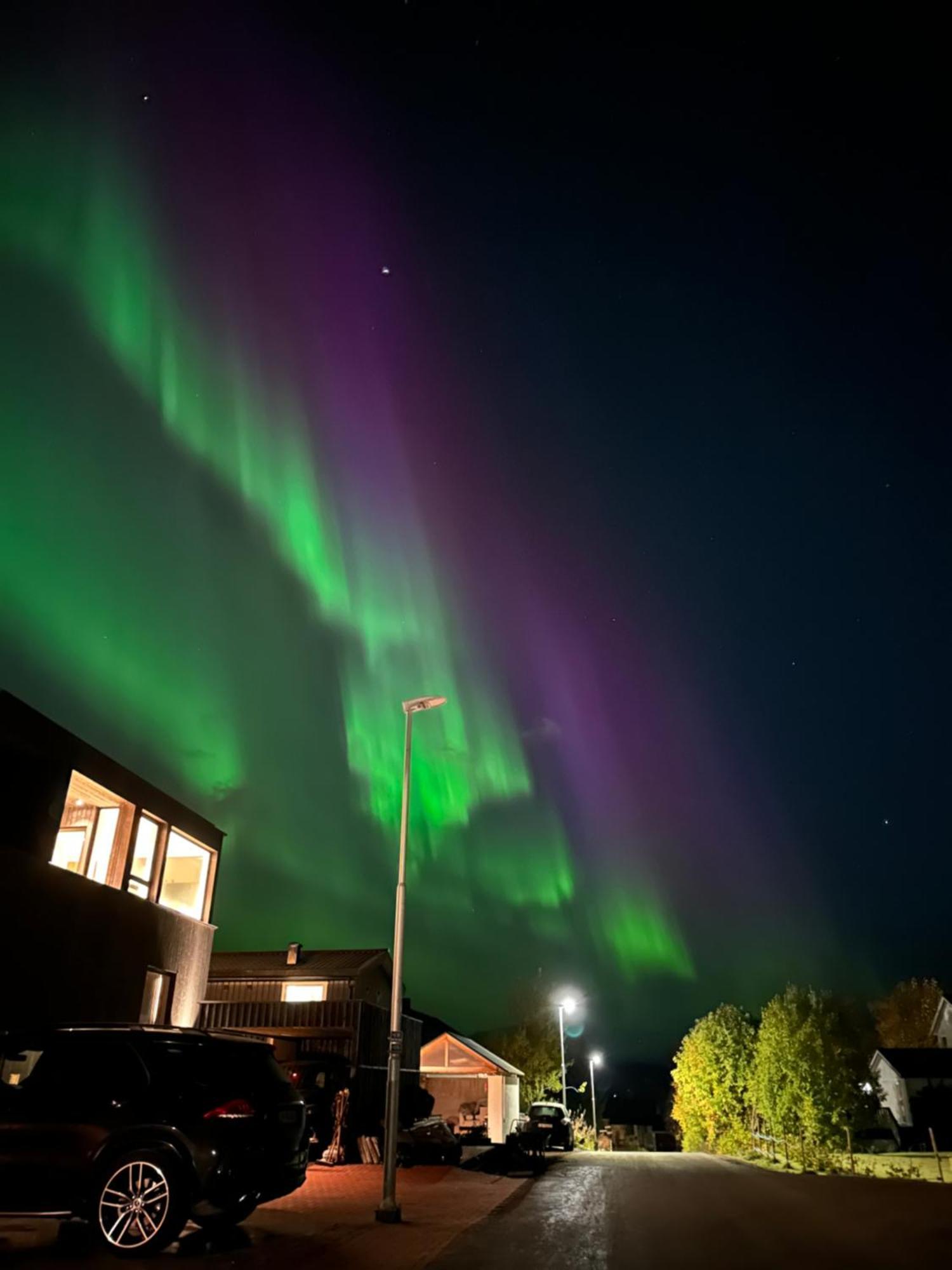 Koselig Byleilighet Sor I Sentrum Av Tromso. Exterior photo